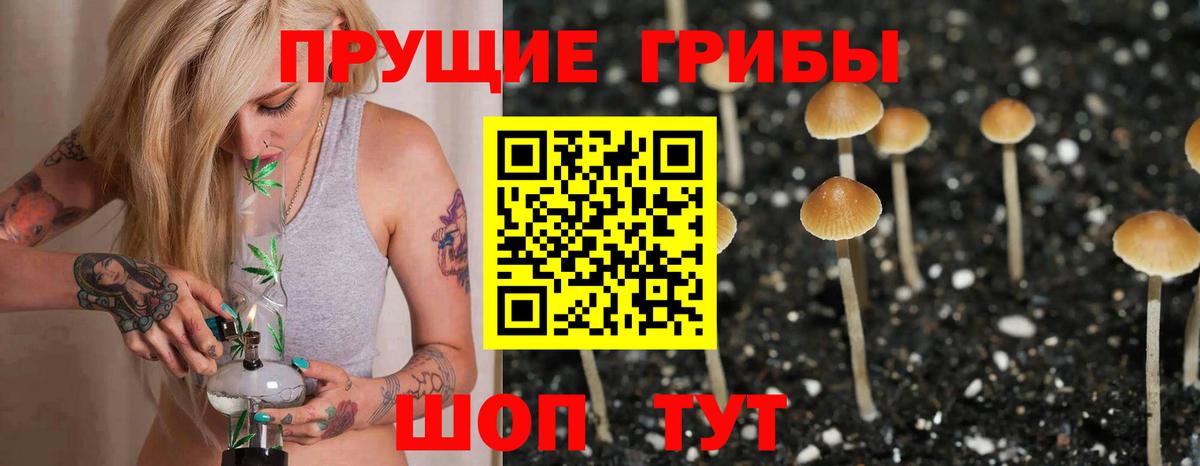 Нижний Тагил  Галлюциногенные грибы GOLDEN TEACHER  купить наркотики цена  Вход с VPN 